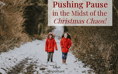 Pushing Pause in the Midst of the Christmas Chaos!