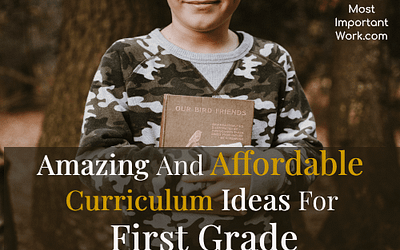 Amazing And Affordable Curriculum Ideas for First Grade